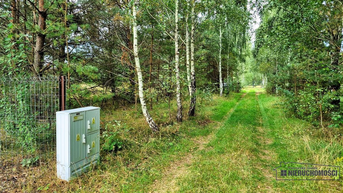 Sprzedaż Działka budowlana Dołgie