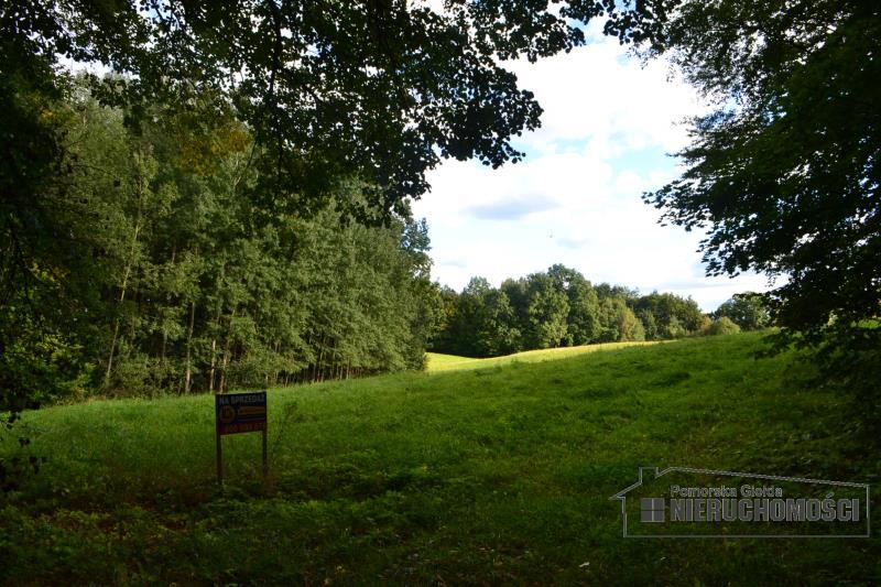 działka i otoczenie